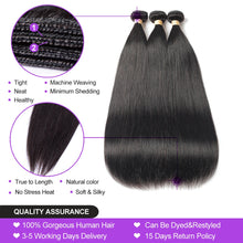 Load image into Gallery viewer, Straight Peruvian Human Hair Bundles With Closure - divawigsandmore